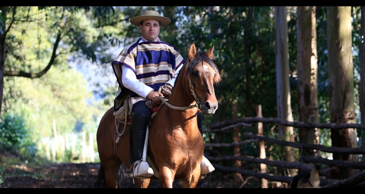 Gustavo Valdebenito, presidente de la Zona Sur: Será un Consultivo para seguir mejorando el rodeo