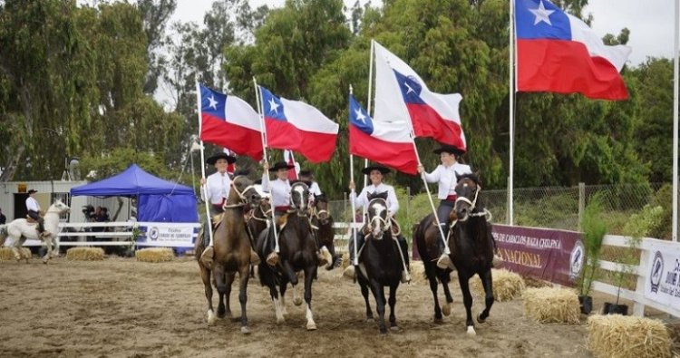 Puerto Natales recibe la primera Clínica de Rienda orientada a las Escuadras Ecuestres
