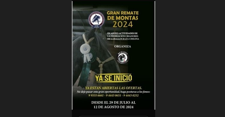 Estos son los 29 potros que participan en el Gran Remate de Montas de la Federación de Criadores