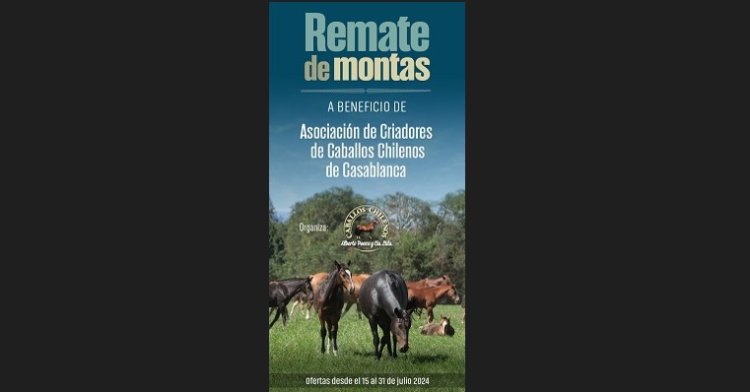 ¡Apúrate! Remate de montas de los Criadores de Casablanca termina este miércoles