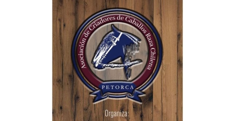 Criadores de Petorca tienen un atractivo remate de montas
