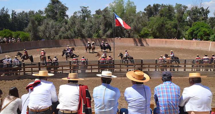 Santiago Sur abrirá su Temporada Grande con un Rodeo Para Criadores ...