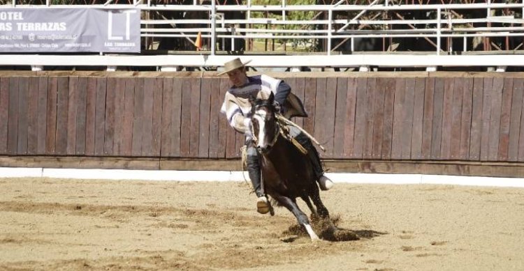 Hugo Navarro, Marco Castillo y Alfonso Navarro avanzaron a la final de la Rienda de San Carlos