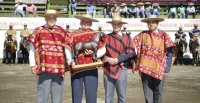 Alejandro Herrera, un trabajador incansable por el Caballo Chileno y el Rodeo
