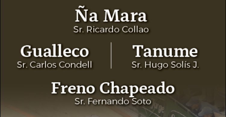 Criaderos Ña Mara, Gualleco, Tanumé y Freno Chapeado tiene remate este miércoles