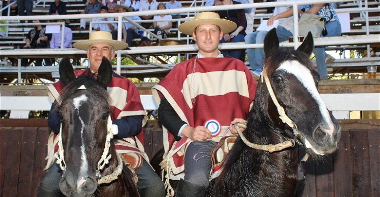 Criadero Huimpalay brilló en San Carlos gracias al cuarto toro en San Carlos