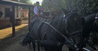 La sensación de conducir un coche de Enganche: Johanna Lahnsteiner estuvo en Lo Campino
