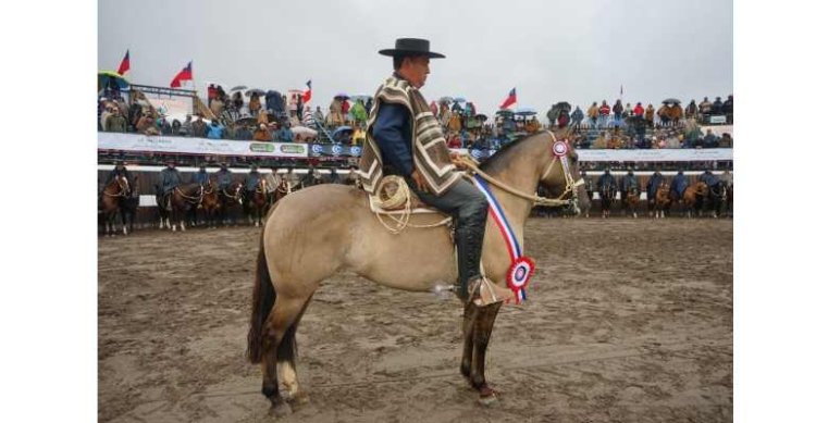 Carimallín Amante se quedó con el Sello de Raza en Colina