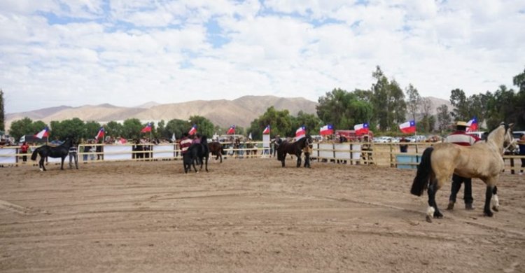 Criadores de Atacama comenzaron los preparativos para la Expo Copiapó