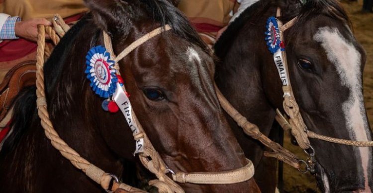 Federación del Rodeo afina detalles de la Serie que homenajeará a los Campeones de Chile