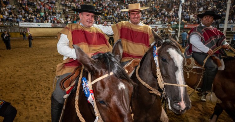 Para tener el dato a mano: App Caballo Chileno tiene sección especial con clasificados a Rancagua