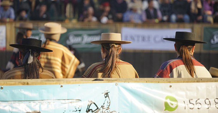 Champion de Chile: Los listados de colleras para las Series Promocionales de Menores y Femenina