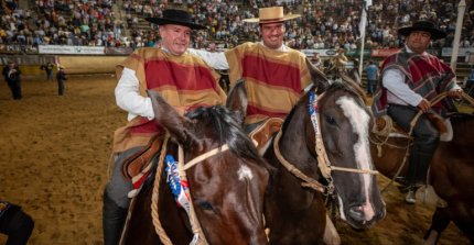 Para tener el dato a mano: App Caballo Chileno tiene sección especial con clasificados a Rancagua