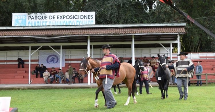 Expo Cautín de Otoño tendrá una gran novedad este 2025