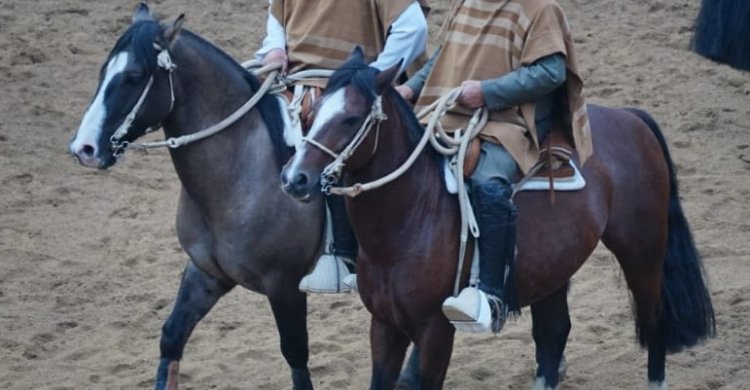 Maipo Norte lideró las colleras premiadas para la Final de Chile