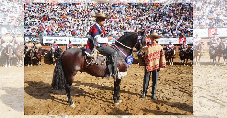 Sello de Raza: Palmas de Peñaflor Romancero brilló con distinción