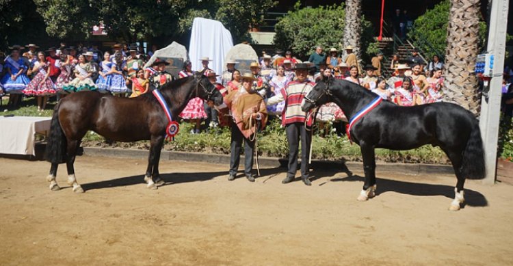 Campeones de la Expo Nacional fueron reconocidos en Rancagua
