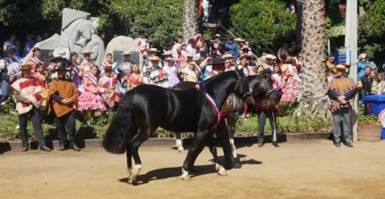Comisión Feria Internacional del Caballo 2026 trabaja intensamente en el diseño del evento