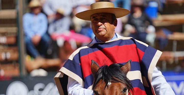 Luis Eduardo Cortés hizo historia con su corona número 13 en el Movimiento a la Rienda
