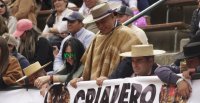 El Lado B del 76° Campeonato Nacional de Rodeo