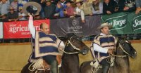 La exitosa sangre de Peleco: Campeones y vicecampeones de Chile en el análisis de los expertos
