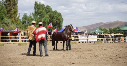 Criadores de Atacama tendrán gran jornada en Copiapó con exposición y pruebas funcionales