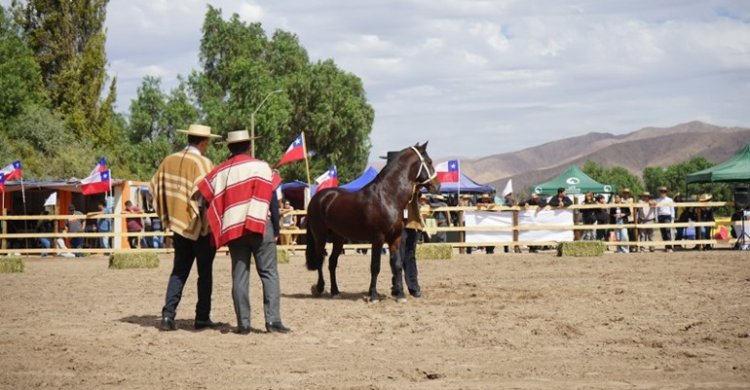 Criadores de Atacama tendrán gran jornada en Copiapó con exposición y pruebas funcionales