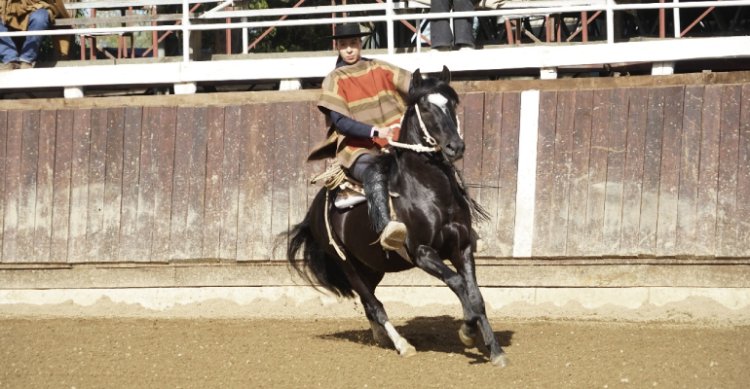 El Movimiento a la Rienda del XXXVII Campeonato Nacional Universitario