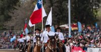 80 años de la Federación de Criadores: Bases del Concurso de diseño de logo de la Feria del Caballo Chileno