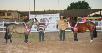 Chehueque y Qué Chichita fueron coronados en una entretenida jornada de la Expo Copiapó