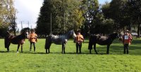 Los Grandes Premios de la Expo Cautín de Otoño