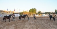 Los Grandes Premios de la Expo Copiapó 2025