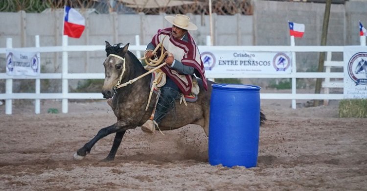 Criadores de Atacama también disfrutaron con Barrilete y Rienda Sin Fronteras