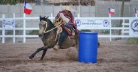 Criadores de Atacama también disfrutaron con Barrilete y Rienda Sin Fronteras