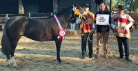 Remolino Matorral Purísima confirmó su estirpe campeona
