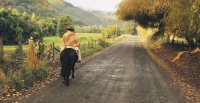 Criadero Agua de Los Campos y Maquena sale a remate con ejemplares de gran selección