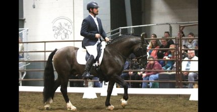 [Opinión] Se trata de mostrar que el caballo que criamos con tanto esfuerzo tiene un lugar en el mundo