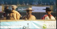 Agrupación Femenina de Rodeo Chileno lanzó atractivo Remate de Montas