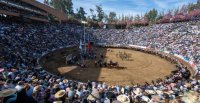 Barómetro: Ferochi puso en marcha la 2ª versión de la encuesta sobre el Campeonato Nacional de Rodeo