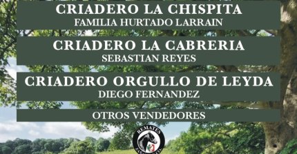 Criaderos La Chispita, Cabrería y Orgullo de Leyda tiene remate este miércoles