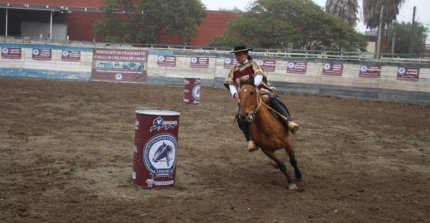Criadores de Limarí tienen interesante agenda para los próximos días
