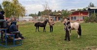 Alumnos del Liceo Agrícola de El Tambo disfrutaron de amena charla sobre el Caballo Chileno