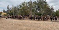 La fraterna jornada de los Criadores de Limarí en imágenes