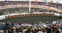 Gran Rodeo Interasociaciones marcará el cierre de la Temporada Chica en la Asociación Osorno