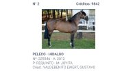 App Caballo Chileno celebra cuatro años como herramienta clave