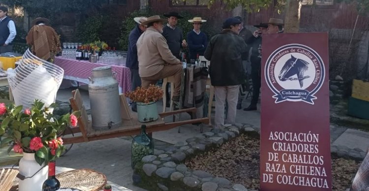 Criadores de Colchagua realizarán este jueves su asamblea de socios