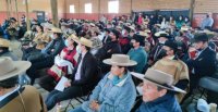 Pirque vivirá intensa jornada de capacitaciones sobre Bienestar Animal y para Delegados