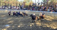 Escuadras Ecuestres y Aparta de Ganado engalanaron tradicional fiesta en Til Til