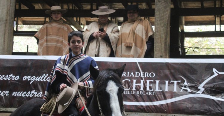 Cristóbal Middleton Muñoz sumó experiencia en la Rienda con su actuación en rodeo del Club Lago Panguipulli