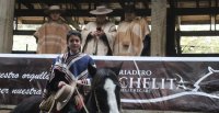 Cristóbal Middleton Muñoz sumó experiencia en la Rienda con su actuación en rodeo del Club Lago Panguipulli